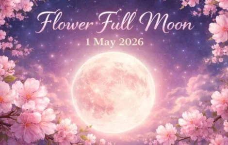 Full Flower Moon 1 Mei