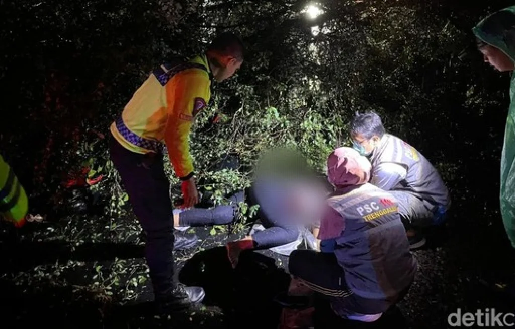 kecelakaan pemotor tertimpa pohon