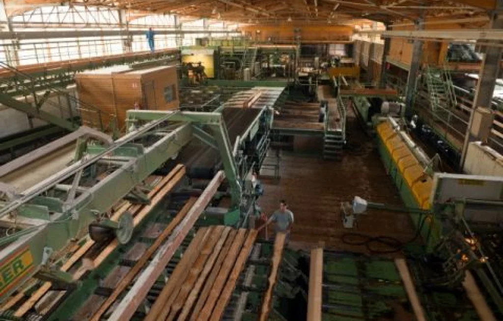 produksi kayu lapis anjlok